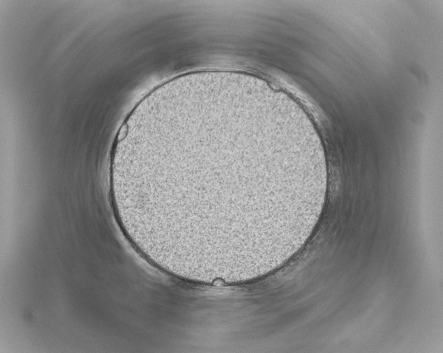 X0000115051479200912071120