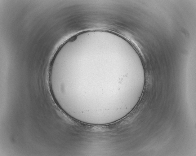 X0000115051480200912071120