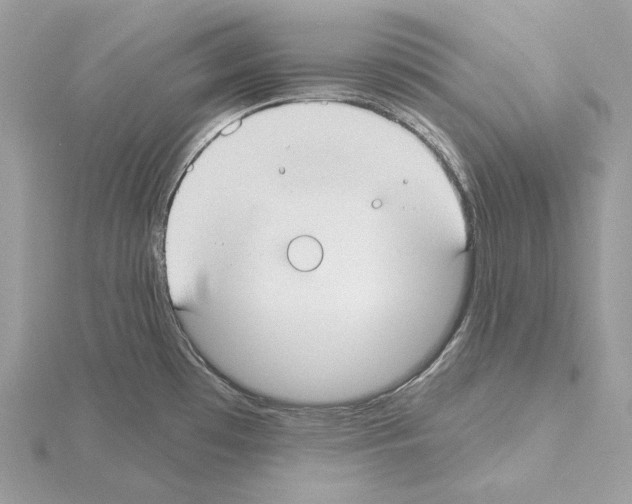 X0000115051481200912071120