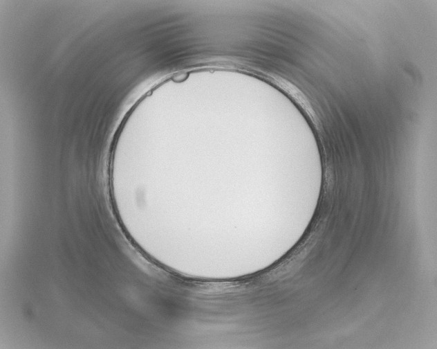 X0000115051482200912071120