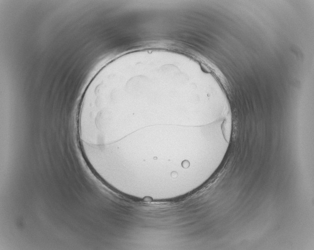 X0000115051483200912071120