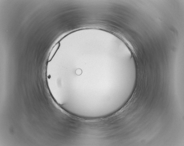 X0000115051484200912071120