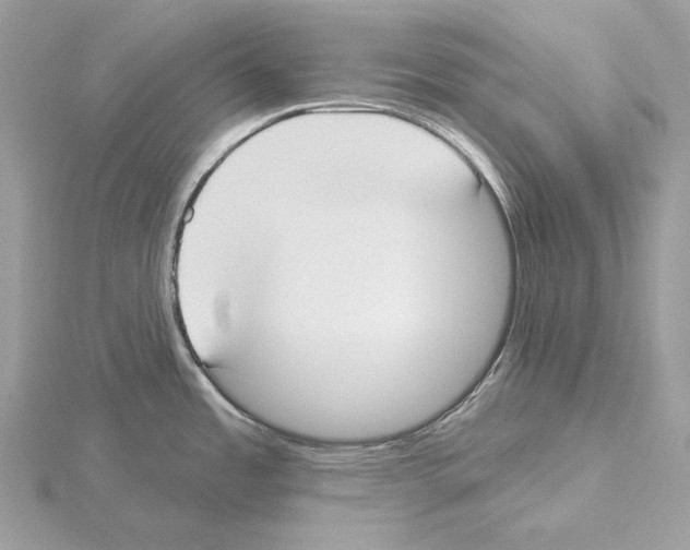 X0000115051485200912071120