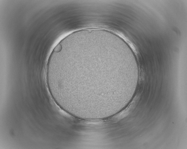 X0000115051486200912071120