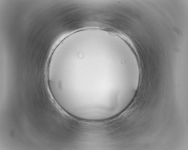 X0000115051488200912071120