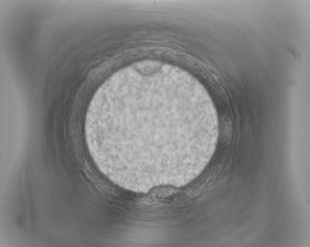 X0000115051489200912071119