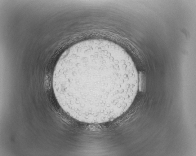 X0000115051491200912071119