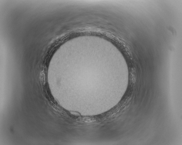 X0000115051493200912071119