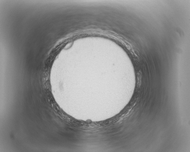 X0000115051494200912071119