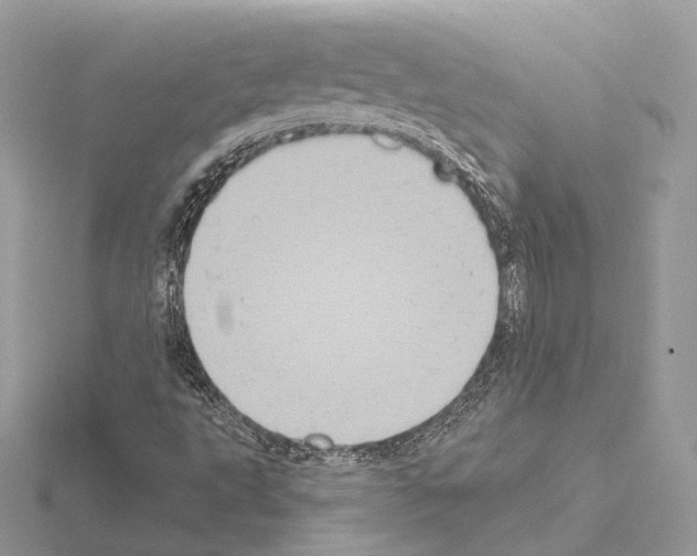 X0000115051495200912071119