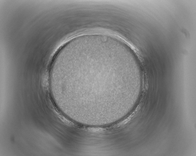 X0000115051498200912071119