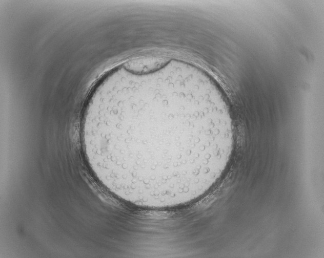 X0000115051499200912071119