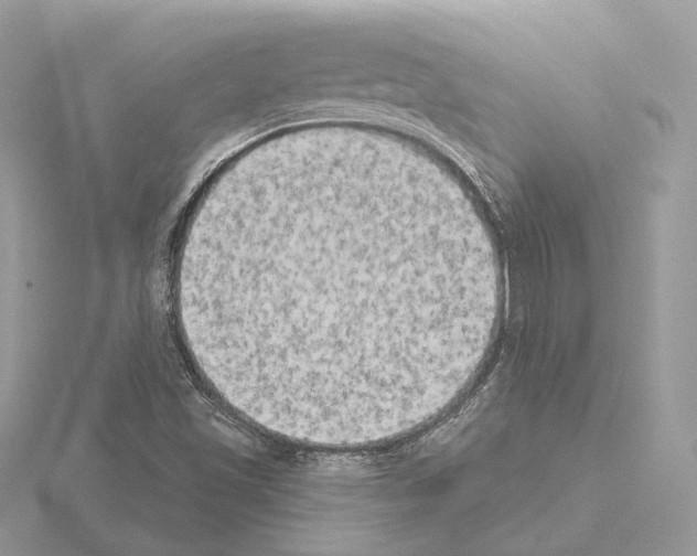 X0000115051501200912071119