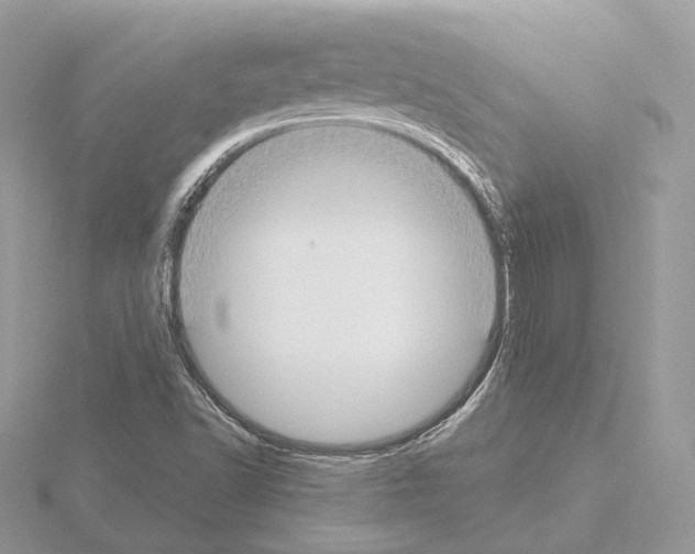 X0000115051502200912071119