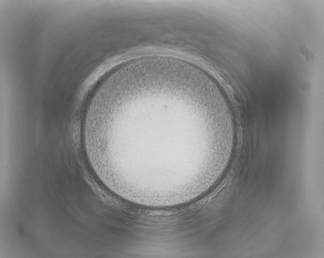 X0000115051503200912071119