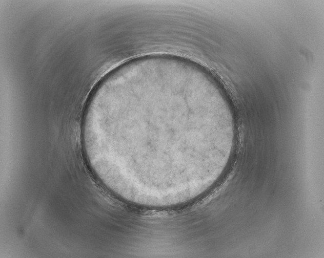 X0000115051505200912071119