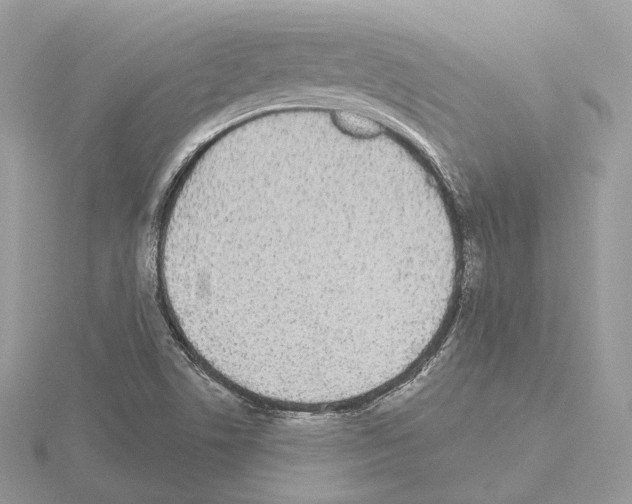 X0000115051506200912071119