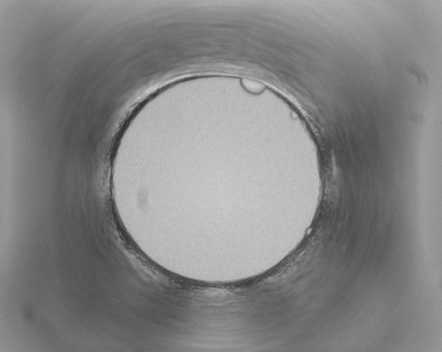 X0000115051507200912071119