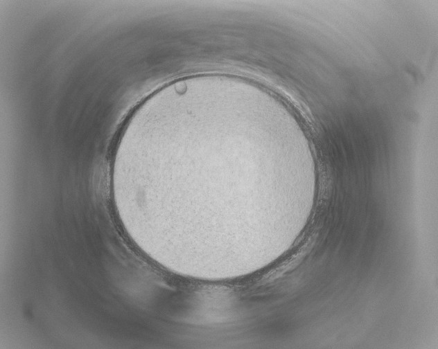 X0000115051509200912071119