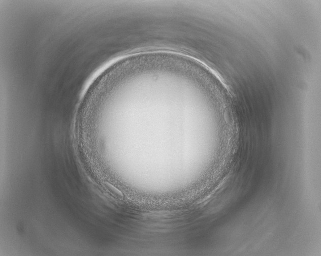 X0000115051510200912071119