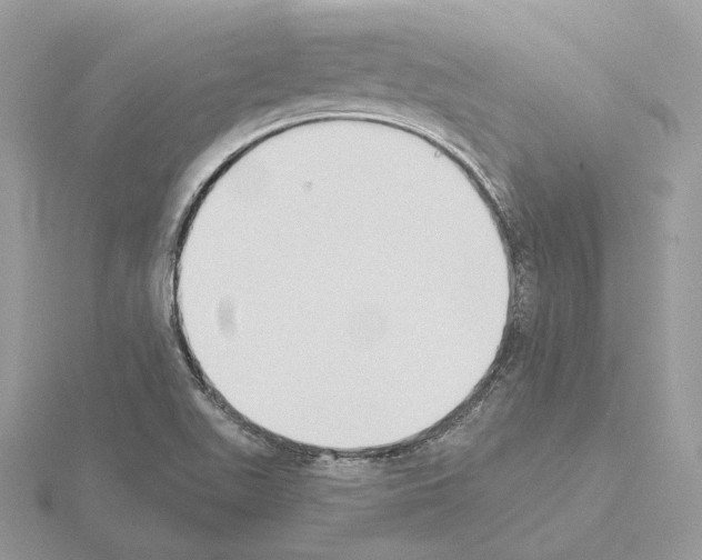 X0000115051511200912071119