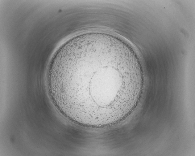 X0000115051514200912071119