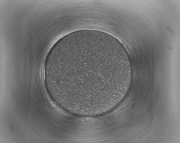 X0000115051515200912071119