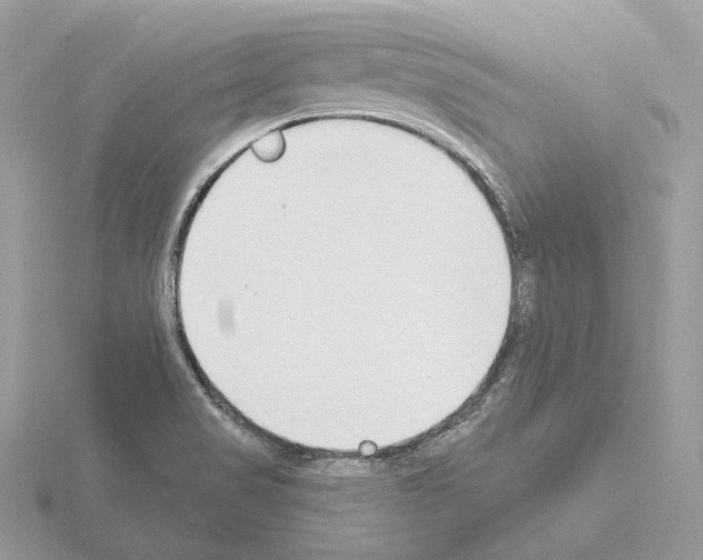 X0000115051517200912071119