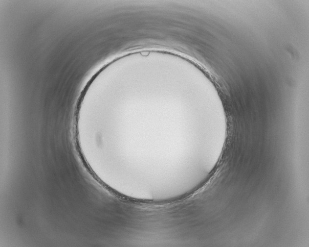 X0000115051518200912071119