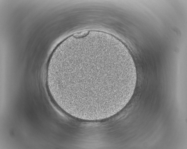 X0000115051519200912071120