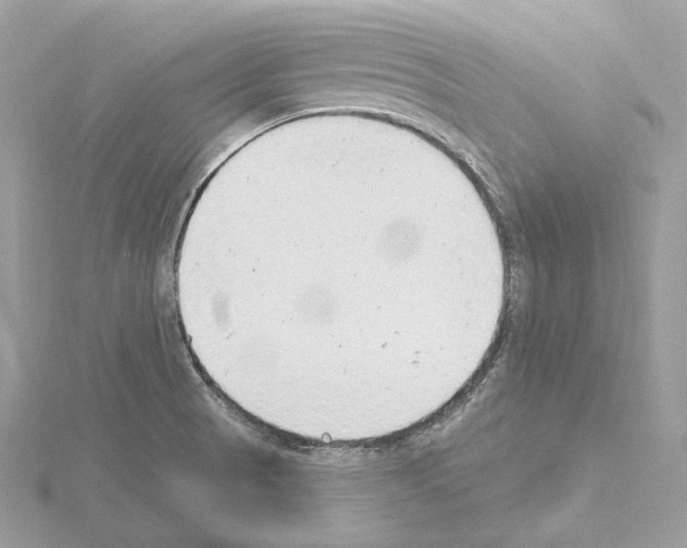 X0000115051521200912071120