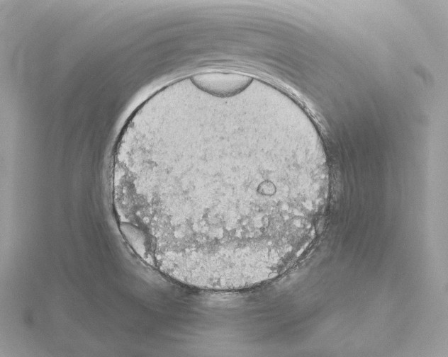 X0000115051522200912071120