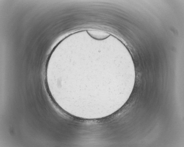 X0000115051523200912071120