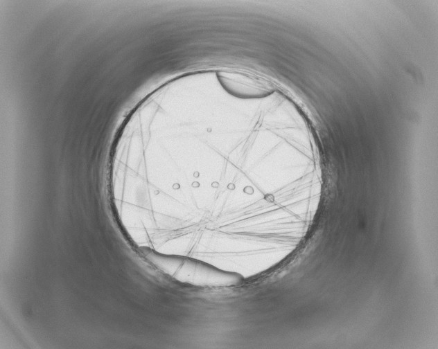 X0000115051525200912071120