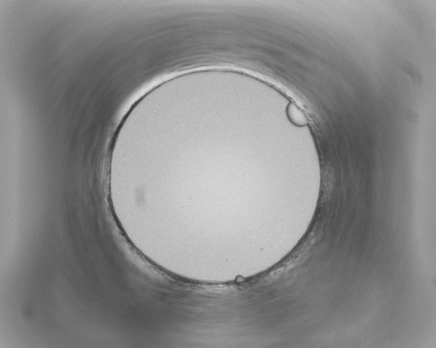 X0000115051526200912071120