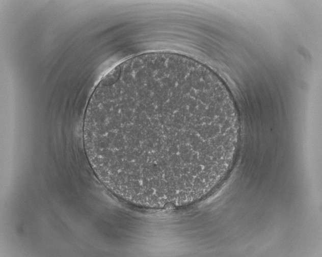 X0000115051529200912071120