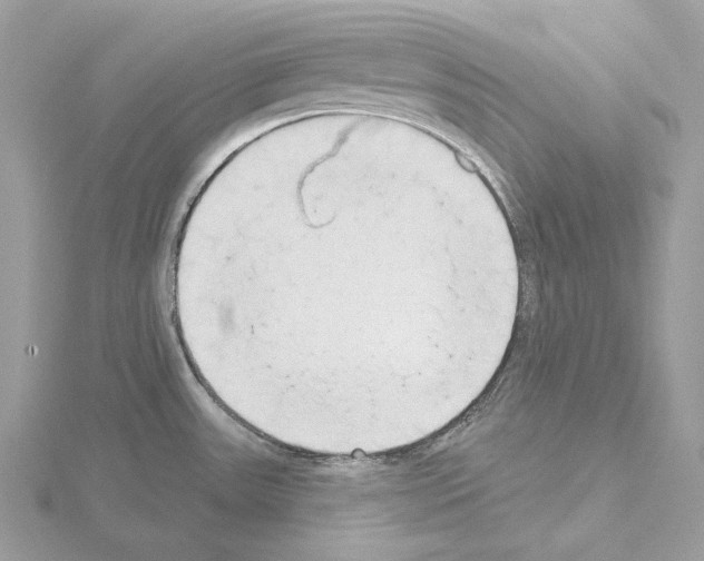 X0000115051531200912071120