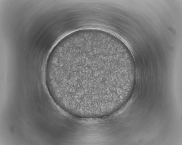 X0000115051533200912071120