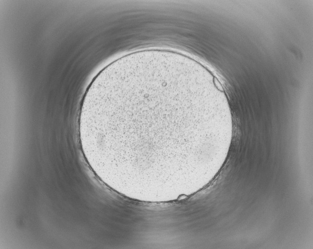 X0000115051534200912071120