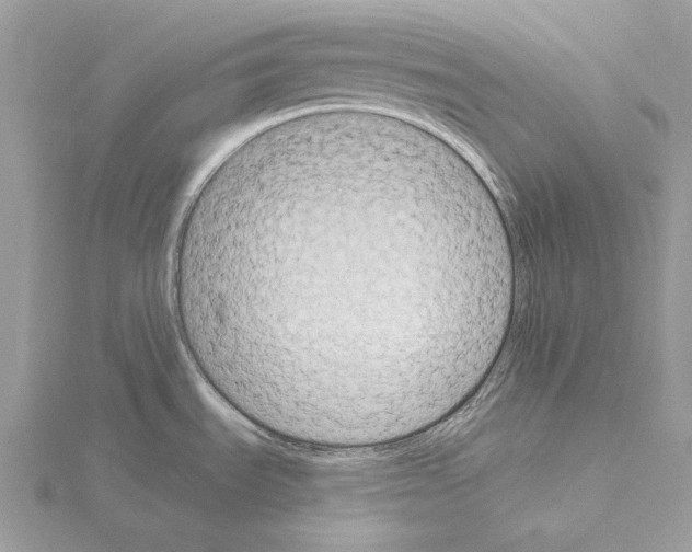 X0000115051535200912071120