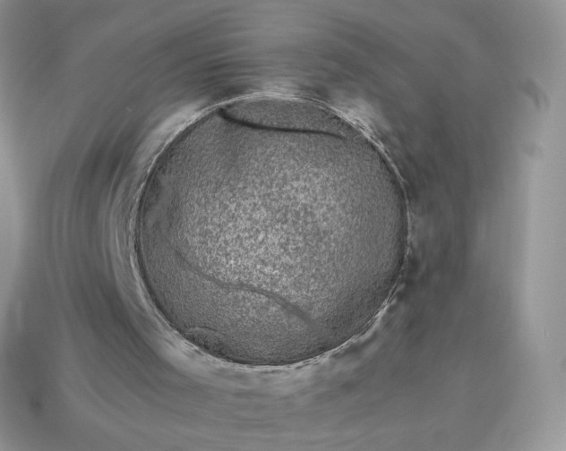 X0000115060001200911091456