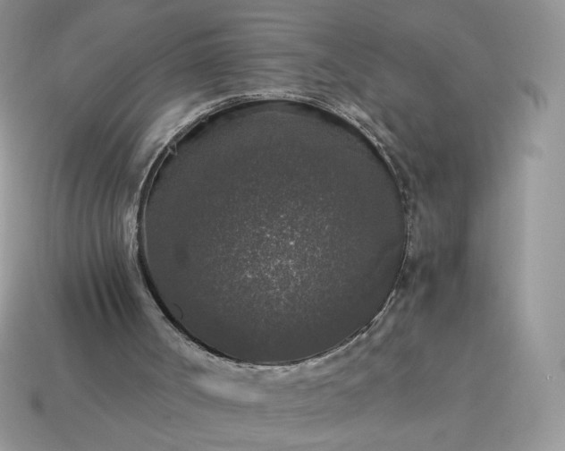 X0000115060002200911091456