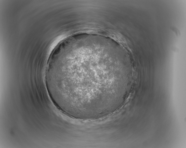 X0000115060003200911091456