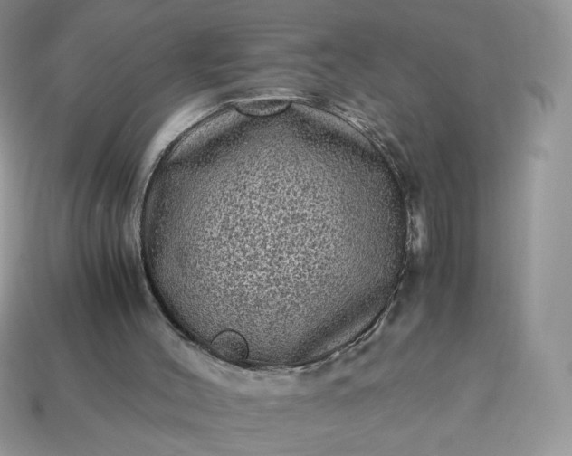 X0000115060004200911091456