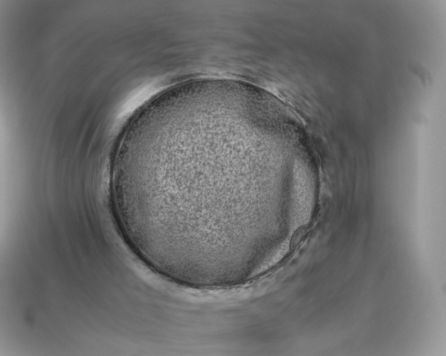 X0000115060005200911091456