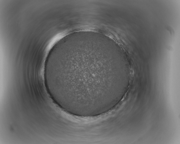 X0000115060006200911091456