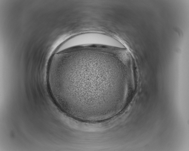 X0000115060008200911091456