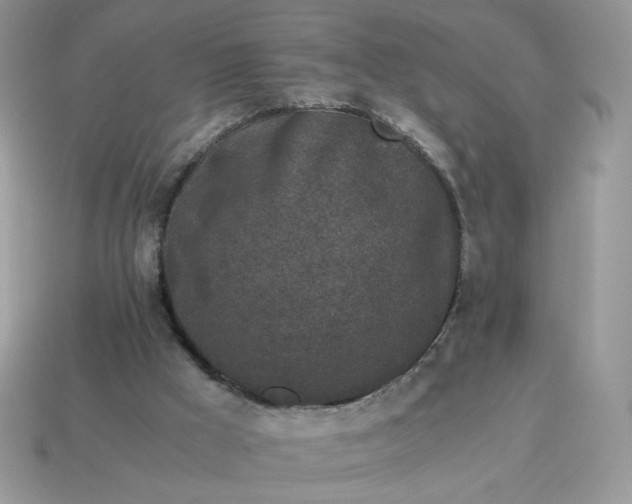 X0000115060009200911091456