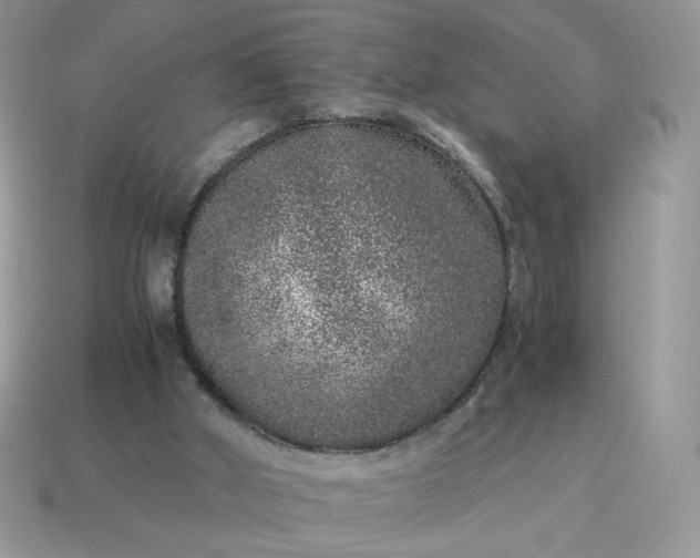 X0000115060010200911091456