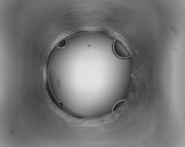 X0000115060011200911091456